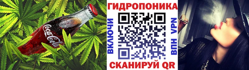 Canna-Cookies марихуана  наркошоп  Алатырь 