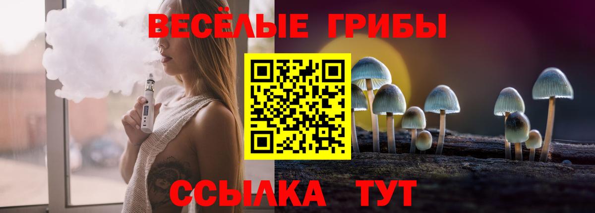 Алатырь  Псилоцибиновые грибы Cubensis  Псилоцибиновые грибы ЛСД  Вход с VPN 