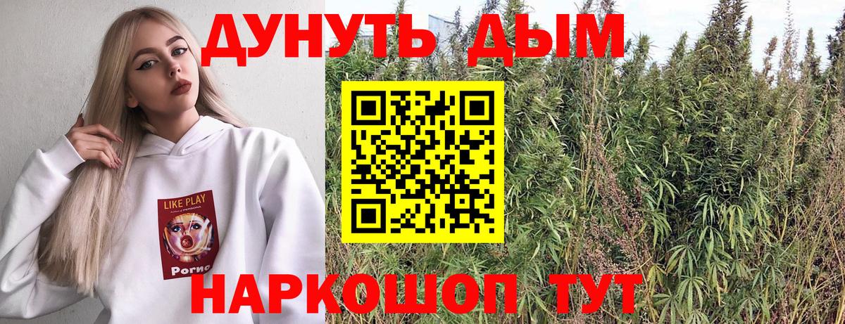 Шишки марихуана сатива Алатырь